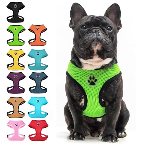 Small Dog Harness (M (NECK: 14", CHEST: 17"-21") / Green)