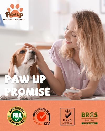 Freeze Dried Salmon Dog Treats