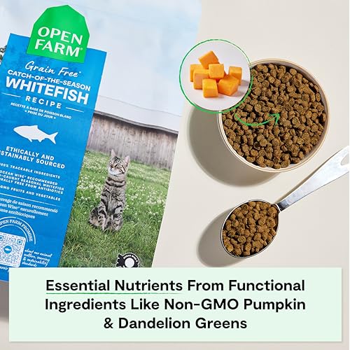 Grain Free Dry Cat Food (8 Pound (Pack of 1))