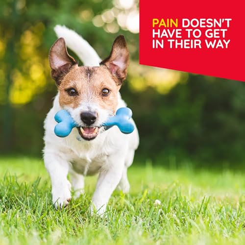 T Relief Pet Discomfort Relief Arnica +12 (90)