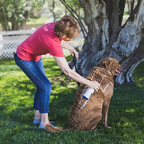 FoamCare Medicated Dog Shampoo (Medicated Shampoo)