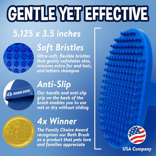 Shampoo Brush (1 Pack / Blue)