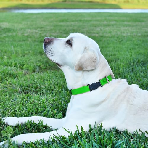 Biothane Waterproof Dog Collar with Herm Sprenger Stainless Steel Quick Release Buckle (W 3/4" x L 12"-19" / Tropical Green)