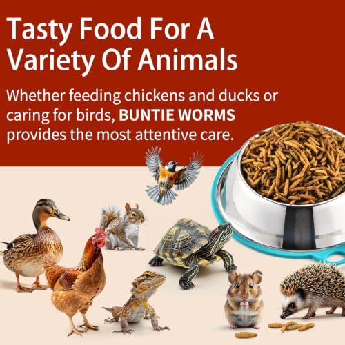 10LB Dried Black Soldier Fly Larvae for Chickens Food (10 Pound (Pack of 1))
