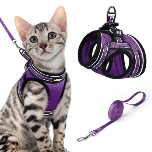 Cat Harness and Leash Set (XL / Purple)