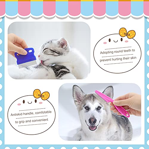 Rabbit Grooming Kit (Blue)
