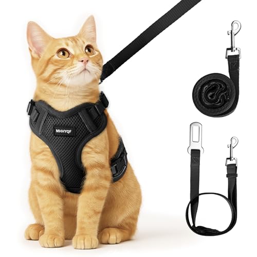 Cat Harness and Leash Set (Black / Small)
