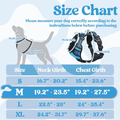 Dog Harness Medium Sized (Medium / Sky Blue)