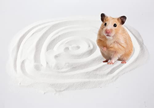 Hamster Bath Sand (7.7lb / White)