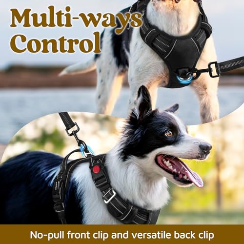 Dog Harness Small Sized (Black / Small)