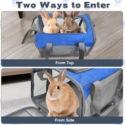 Bunny Carrier for Travel Camping Outdoor (Blue & Gray)