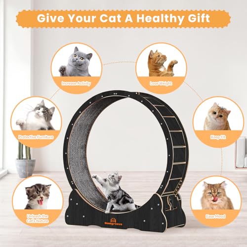 Cat Wheels for Indoor Cats (XL / Black)