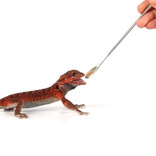 2Pcs Crested Gecko Feeding Spoon (0.5 Ounce (Pack of 2))