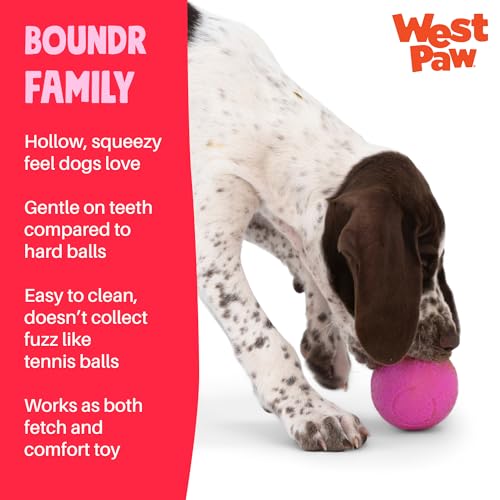 Boundr Ball Dog Fetch Toy (Small (Pack of 2) / Hot Pink/Glow)
