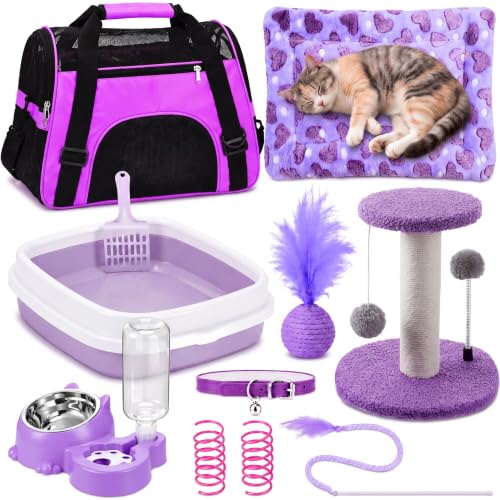 10 Pcs Kitten Starter Kit for Indoor (Cute / Medium / Purple)