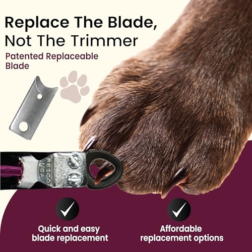 Guillotine Dog Nail Clippers for Small to Medium Dogs (Raspberry Red / Regular)
