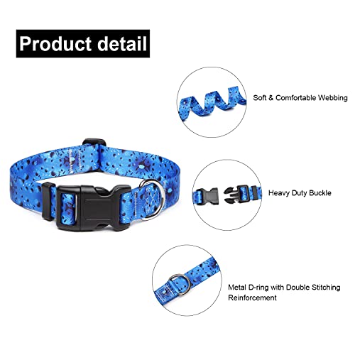 Adjustable Dog Collar (Extra Small / Blue Ocean)