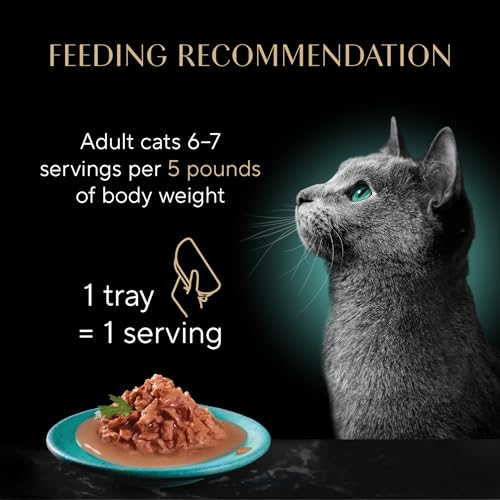 Gravy Indulgence Wet Cat Food (12 Count (Pack of 2))