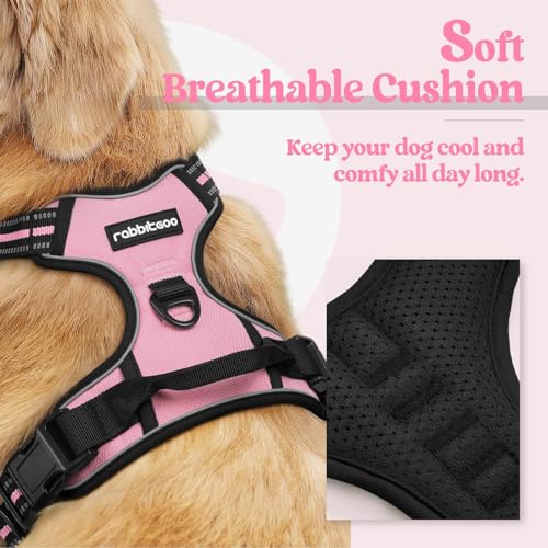Dog Harness No Pull for Small Dogs with 2 Leash Clips (Small / Pink)