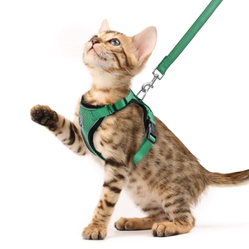Cat Harness and Leash Set Escape Proof Reflective Cat Walking Harness Adjustable Soft Breathable Mesh Vest for Small Pets (XS (NECK 8.5", CHEST 11"-14") / Dark Green)