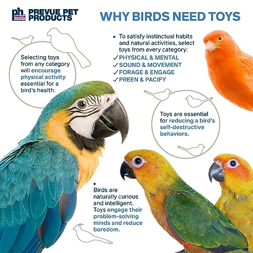 Sink 'n Seek Playfuls Forage & Engage Bird Toy