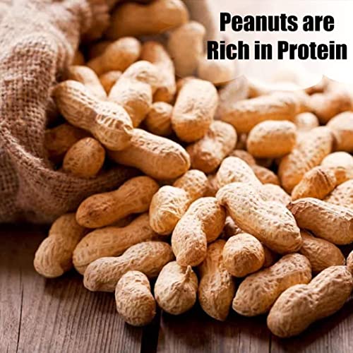 in Shell Peanuts (25 Pound (Pack of 1) / In-Shell)