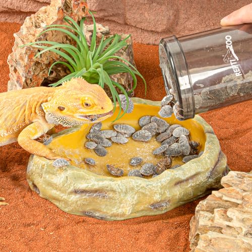 Reptile Cricket Calcium Powder Mixer