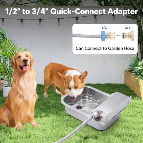 Automatic Water Dispenser for Dog (3L)