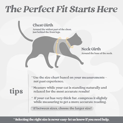 Cat Harness and Leash Set (S / Grey)