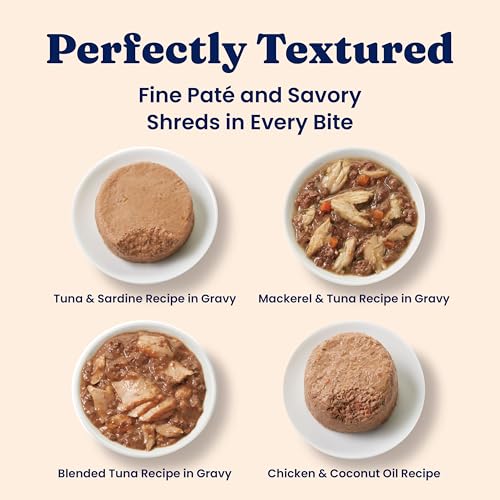 Wet Cat & Kitten Food (12 Pack)