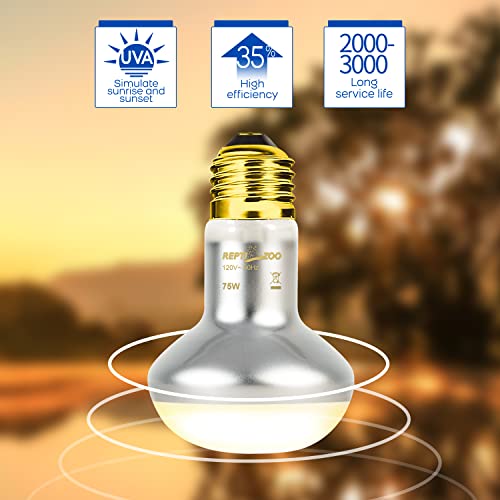 75W Reptile Heat Lamp Bulb (Day & Night Heat Lamp)