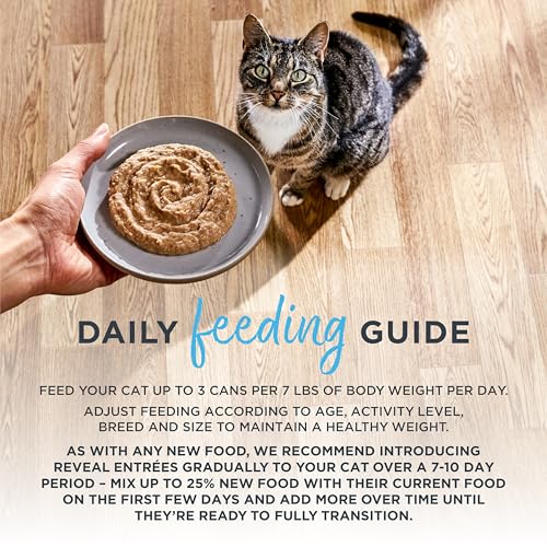 Entrées Chicken Breast Paté Wet Cat Food 24 (2.47 Ounce (Pack of 24))