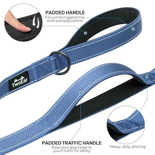 4FT 1IN Heavy Duty Dog Leash for Large Dogs with 2 Padded Handles (Ultramarine / 1 in x 4 ft)