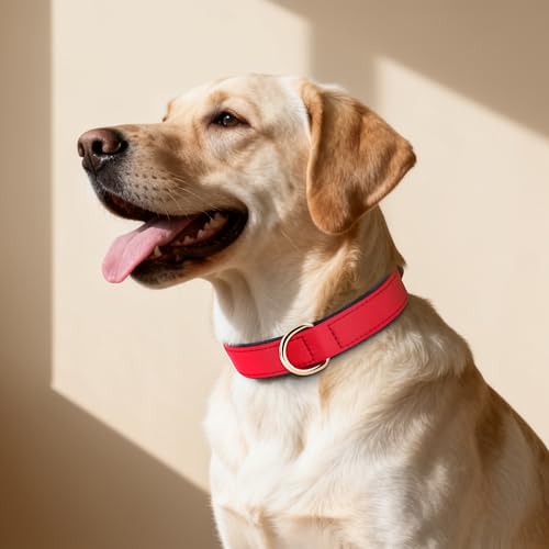 Soft Padded Dog Collars for Large Dogs (Red / XL: Fit 17-23" Neck)