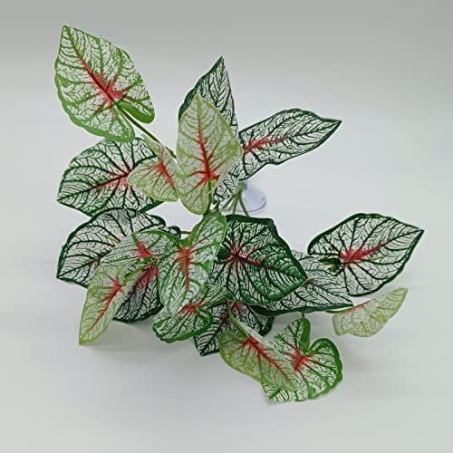 Reptile Plants for Bearded Dragon Tank Accessories (Group Bpn)