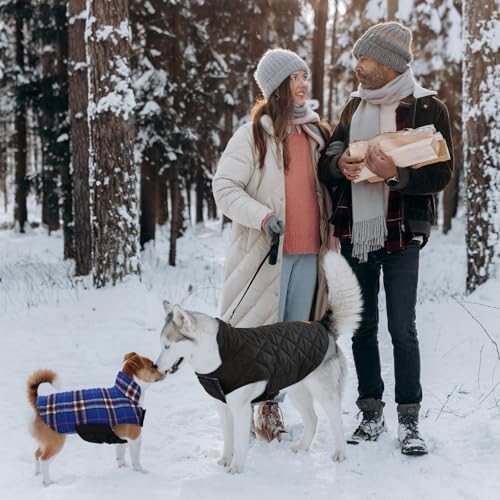Waterproof Dog Coat (Navy / Small (Pack of 1))