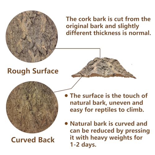 2PCS Cork Terrarium Background (2Pcs-11.8”x7.9”)