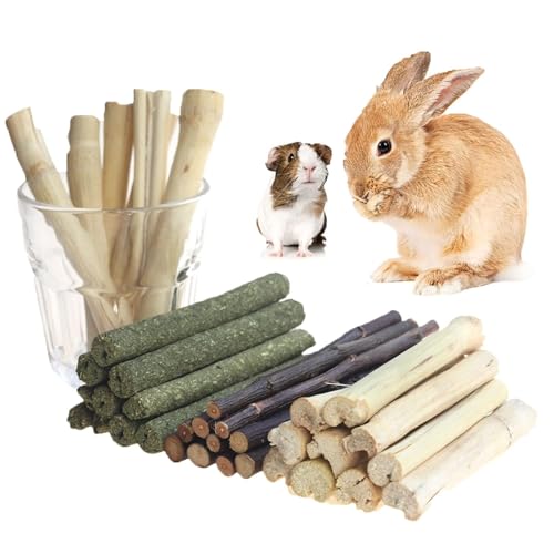 300g Guinea Pig & Rabbit Chew Toys with Apple & Timothy Sticks (300g)
