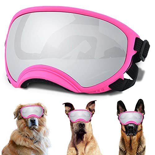 Large Dog Sunglasses