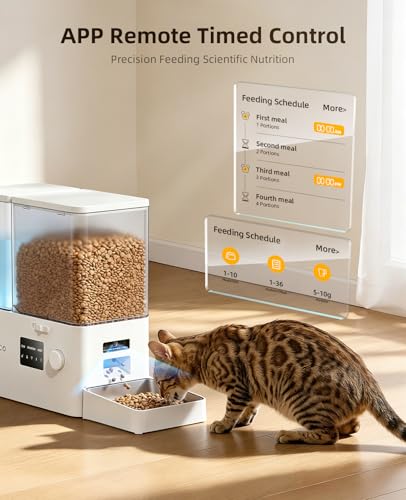 Automatic Cat Feeder and Water Dispenser with Camera