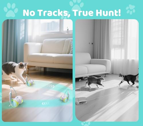 Remote Control Cat Toy with Auto Mode