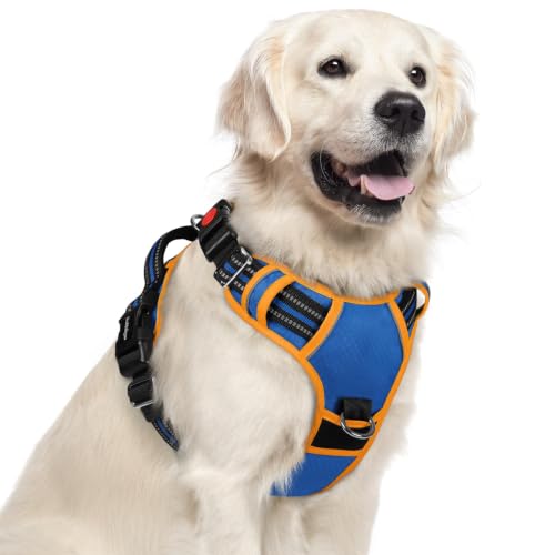 Dog Harness for Large (Royal Blue & Orange / X-Large)