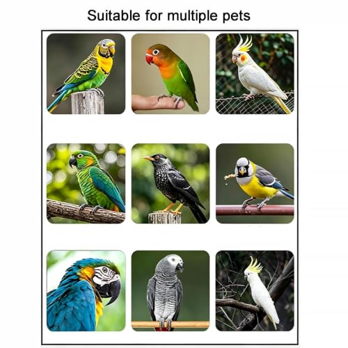 Stainless Steel Bird Cage 80x50x135cm with Top Stand for Parrots