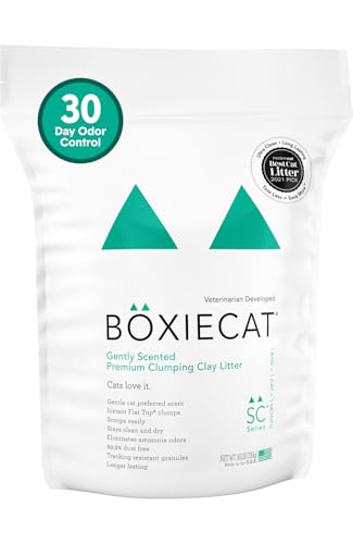 Boxie Premium Scented Clumping Cat Litter 30+ Day Odor Control 16 lb (16 lb)