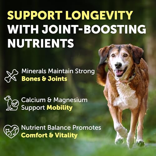 Bones & Immune Supplement Powder for Senior Dogs