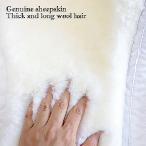 Dressage Saddle Pad Sheepskin Trim Lambskin Wool Fleece White (White/Ivory)