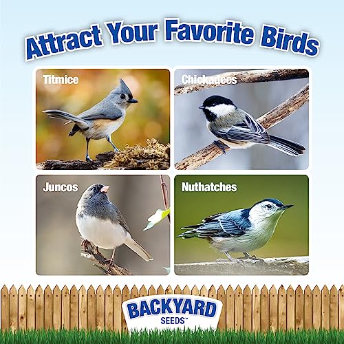 Backyard Seeds 20LB Value Blend Economy Mix Wild Bird Seed (Value Blend / 20 Pound (Pack of 1))