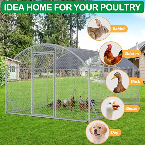 Large Metal Chicken Coop (155.88"L x 107.5"W x 77.1"H)