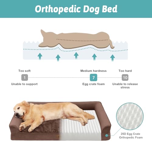 Orthopedic Dog Bed for Extra Large Dogs (Brown / XL:44x32x7 inch)