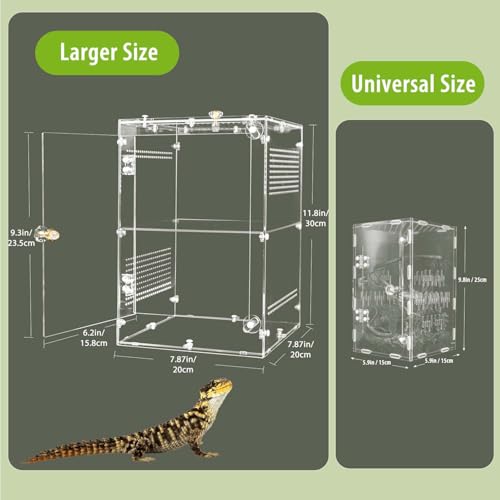 Large Jumping Spider Enclosure (Large-12''x8''x8'')